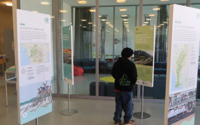 Exposition « Fleuves de vie – Vie des fleuves »